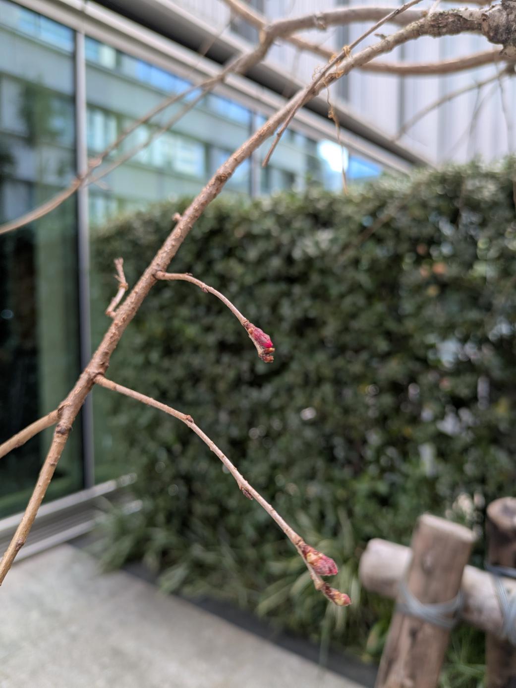 投稿画像2