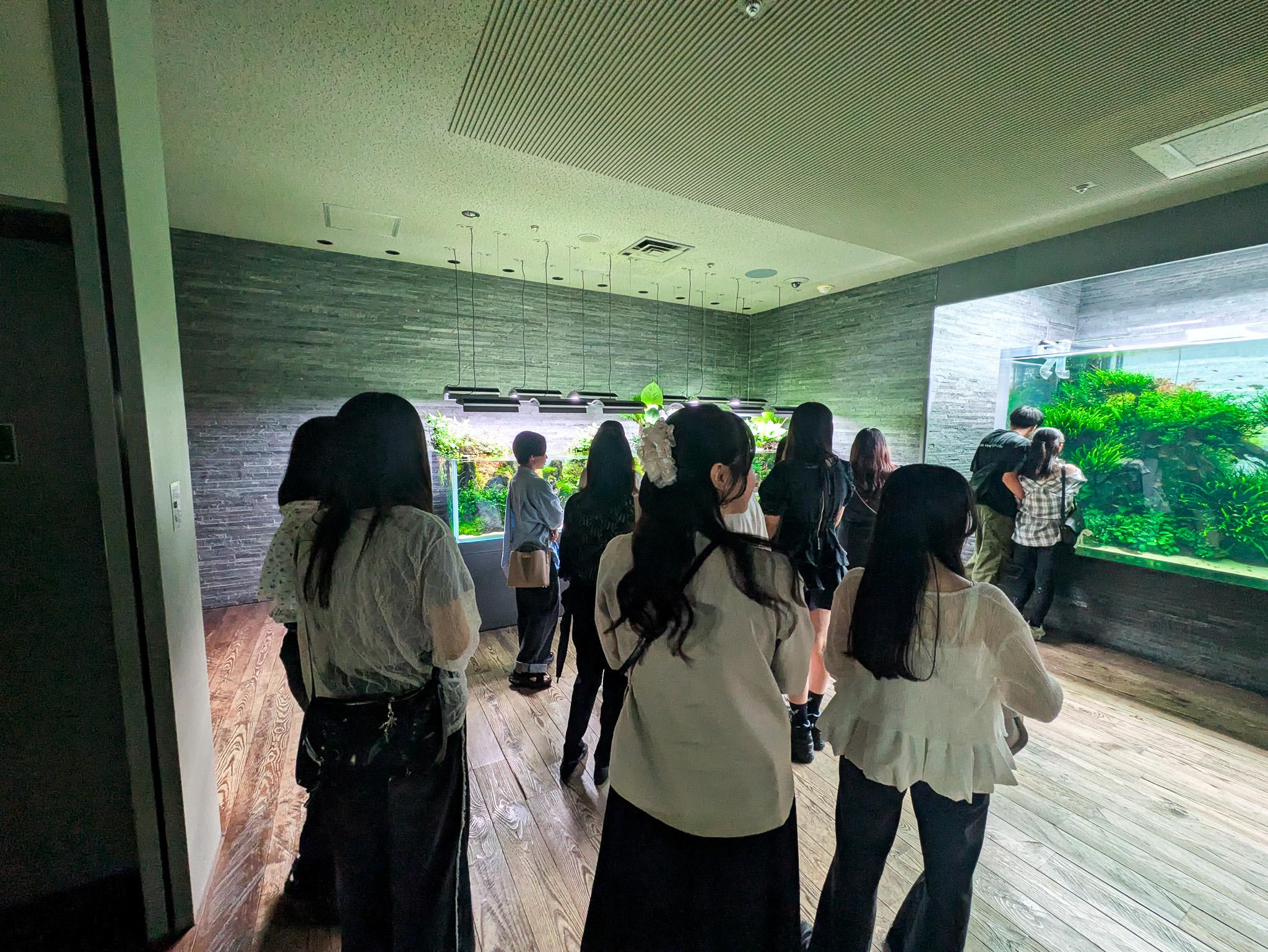 Image 2-4